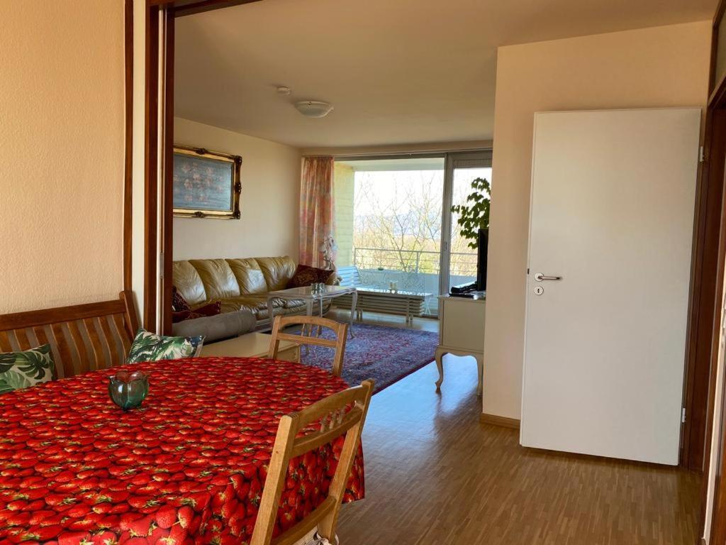 Apartment Blick Ueber Ins Siebengebirge Bonn